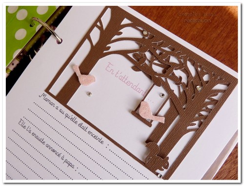 livre naissance victoire - vert, rose et marron - fôret enchantée (15)