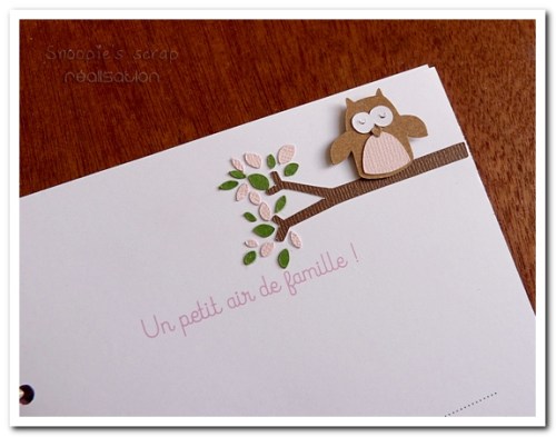 livre naissance victoire - vert, rose et marron - fôret enchantée (22)