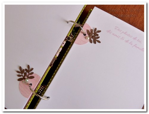 livre naissance victoire - vert, rose et marron - fôret enchantée (23)