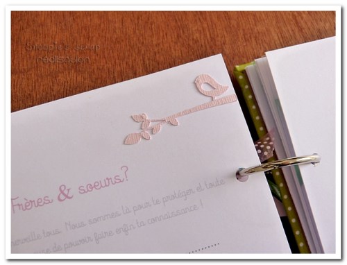 livre naissance victoire - vert, rose et marron - fôret enchantée (24)