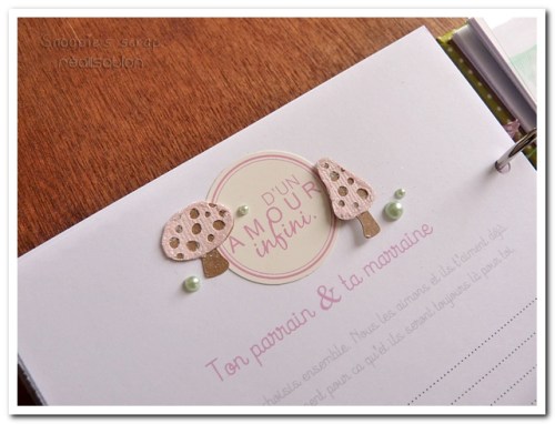 livre naissance victoire - vert, rose et marron - fôret enchantée (26)