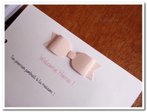 livre naissance victoire - vert, rose et marron - fôret enchantée (27)