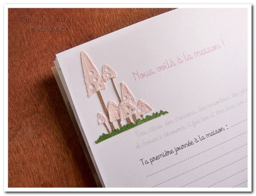 livre naissance victoire - vert, rose et marron - fôret enchantée (28)