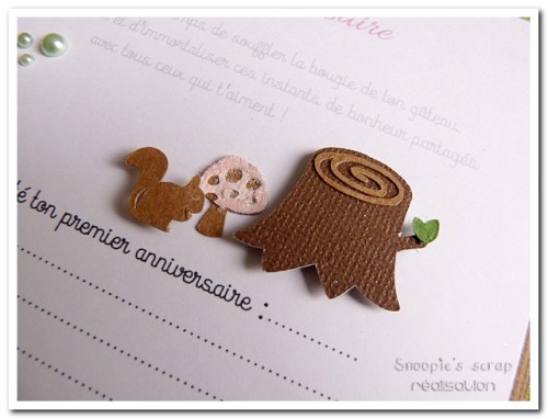 livre naissance victoire - vert, rose et marron - fôret enchantée (49)