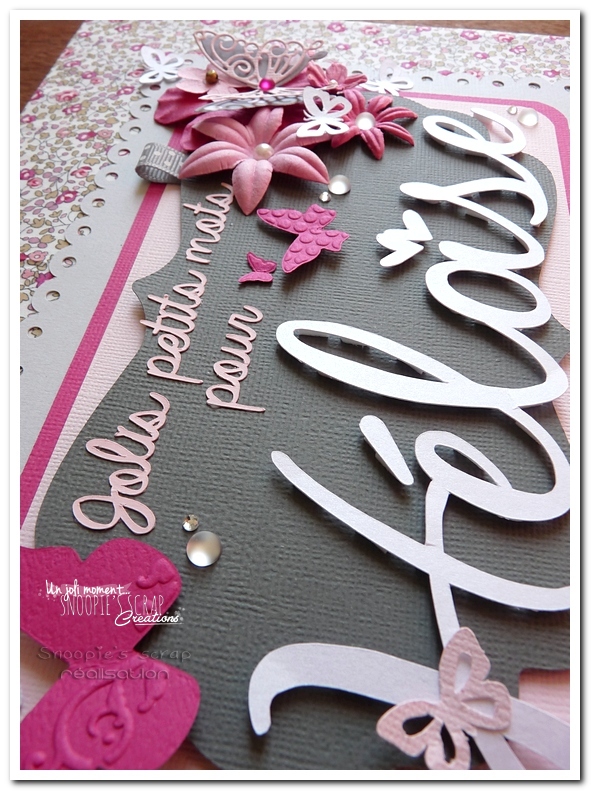 Couverture Héloïse (6)