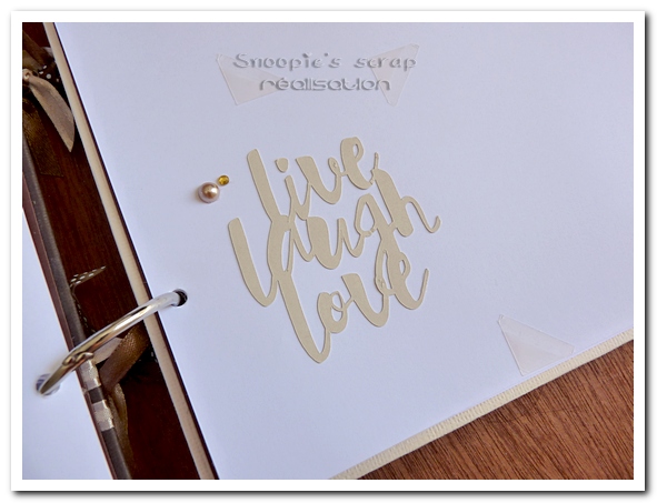 livre d'or Gabriella & Jude - 05.09.2015 - marron & or - voyage (49)