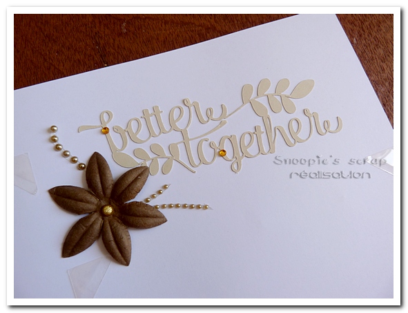 livre d'or Gabriella & Jude - 05.09.2015 - marron & or - voyage (50)