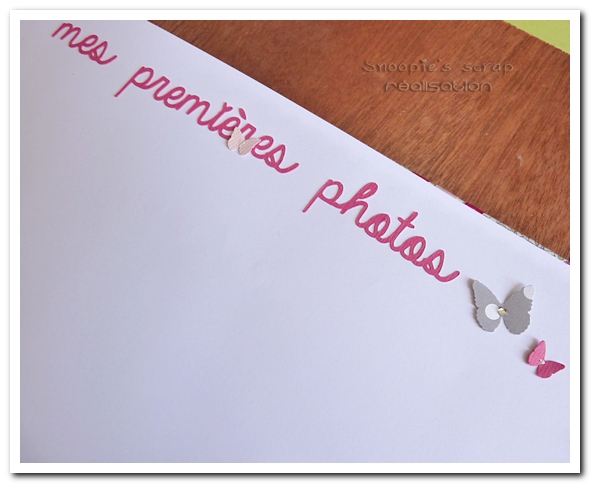 livre Héloïse - Liberty, papillons, fuschia, rose, gris, blanc (1 (26)