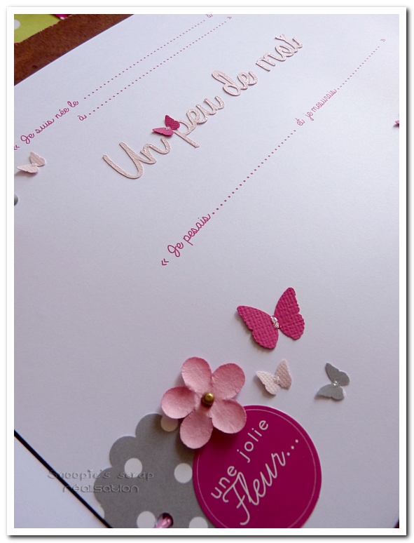 livre Héloïse - Liberty, papillons, fuschia, rose, gris, blanc (1 (27)