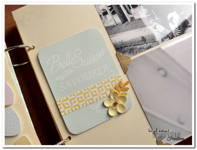 Mélanie & Anthony (37)