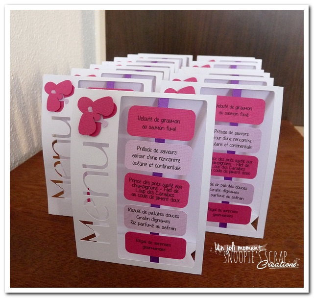 Aperçus Menus M & D (3)