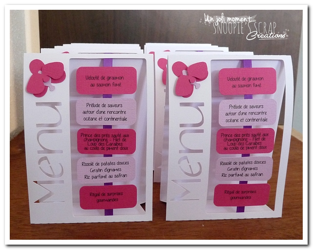 Aperçus Menus M & D (7)