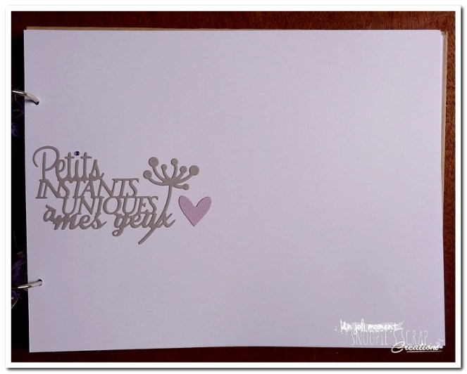 livre J & A snoopiescrap (34)