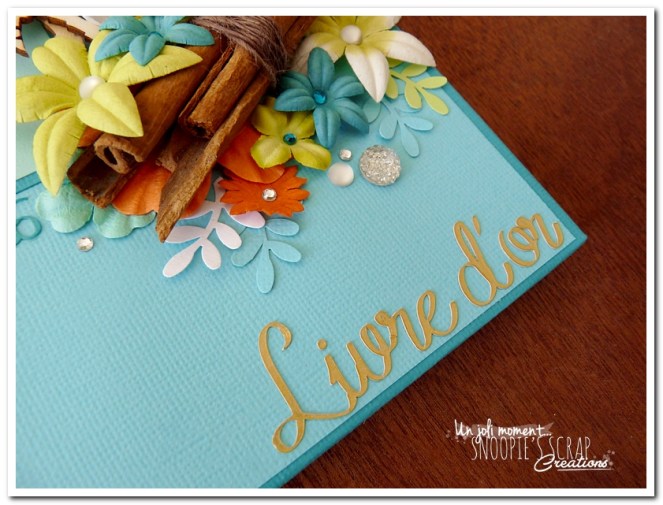 unjolimoment.com - livre d'or mariage A & D (3)