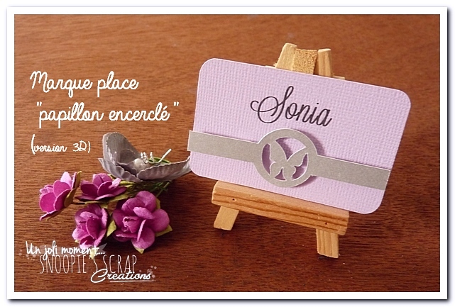marque-place-papillon-encercle-3d-1