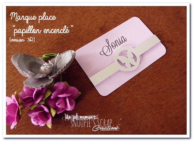 marque-place-papillon-encercle-3d-3