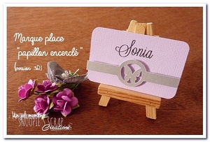 marque-place-papillon-encercle-3d-blog