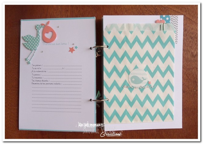 unjolimoment-com-livre-naissance-sacha-8