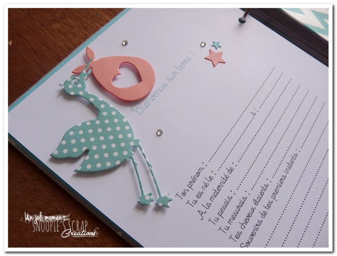 unjolimoment-com-livre-naissance-sacha-9